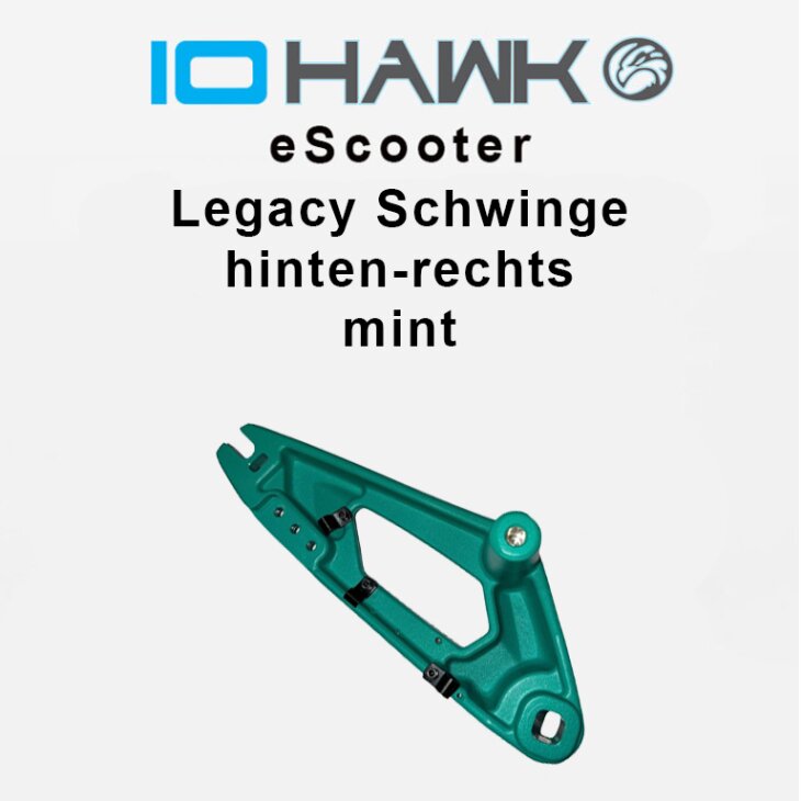 Legacy 1.0 und Legacy 2.0 Schwinge Hinten-Rechts Mint