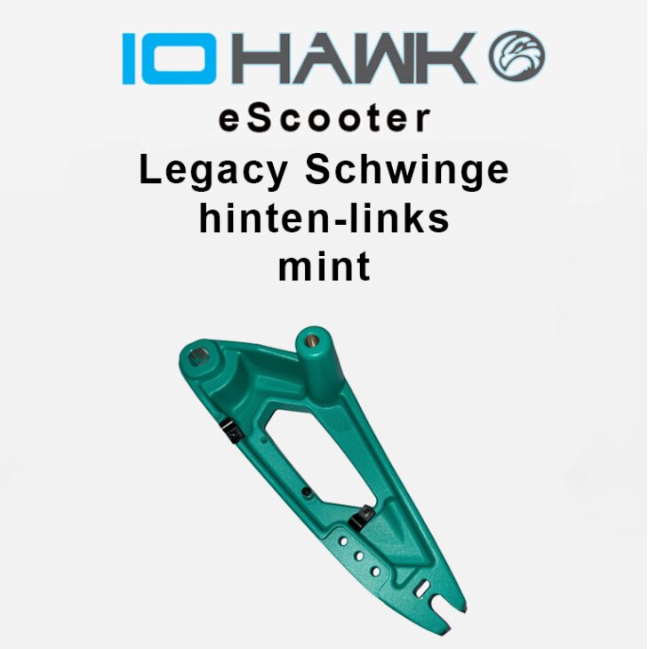 Legacy 1.0 und Legacy 2.0 Schwinge Hinten-Links Mint